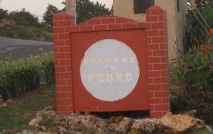 Welcome to Pedro